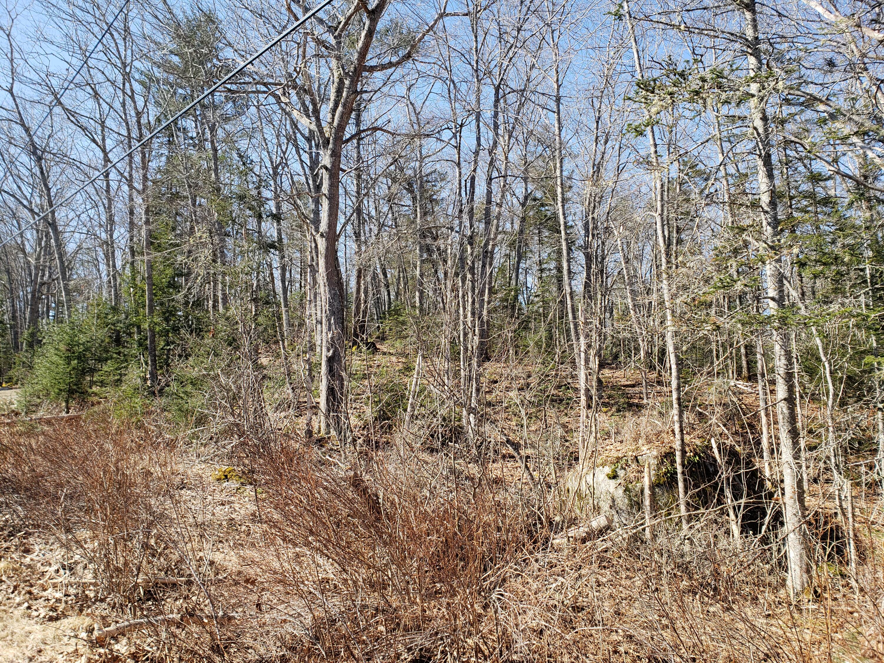 823 Castine Road Orland, ME 04472 - Photo 3 of 25 20220330_101213