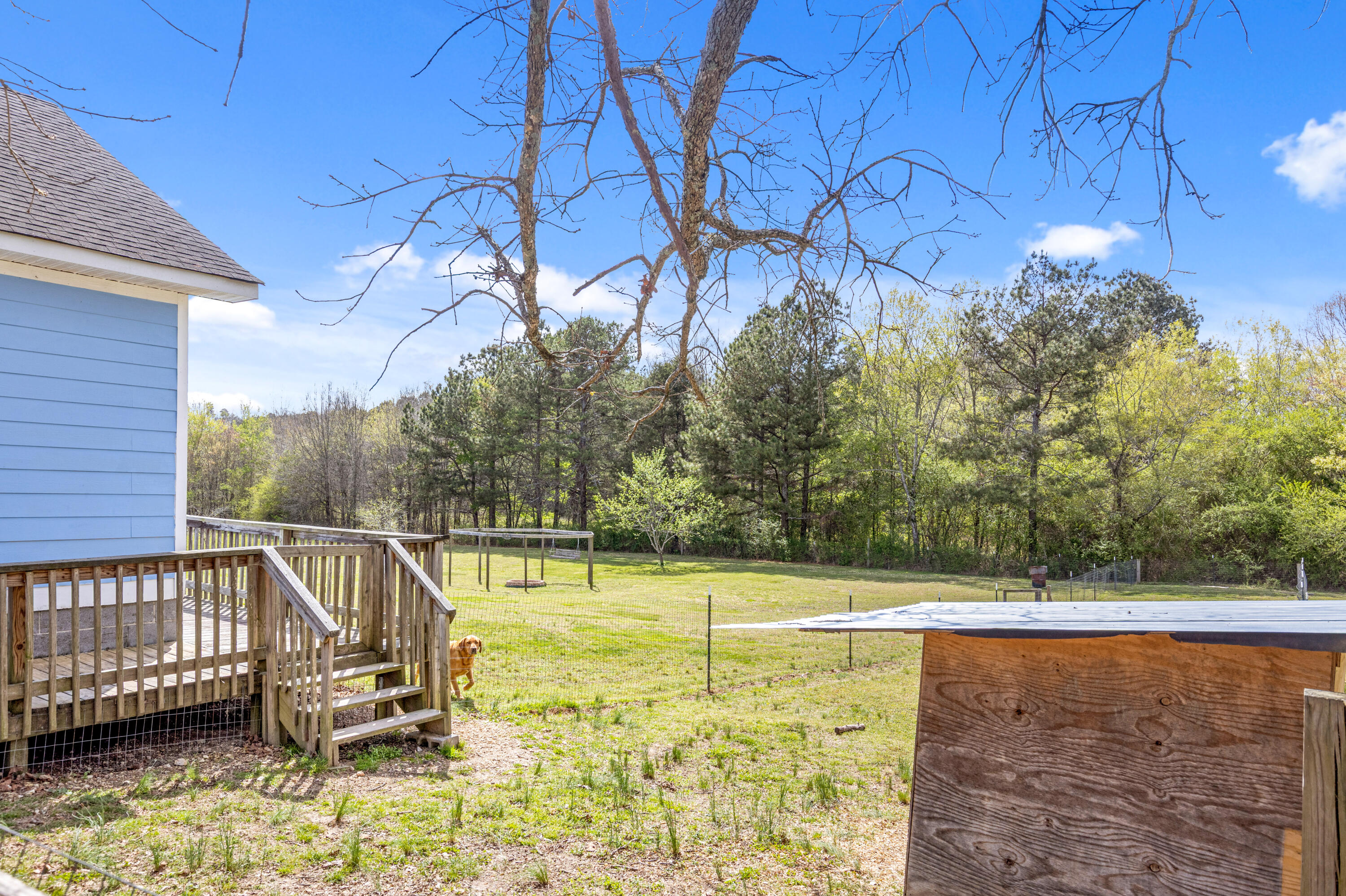 8154 Highway 151 LaFayette, GA 30728 - Photo 35 of 54 GA151-10