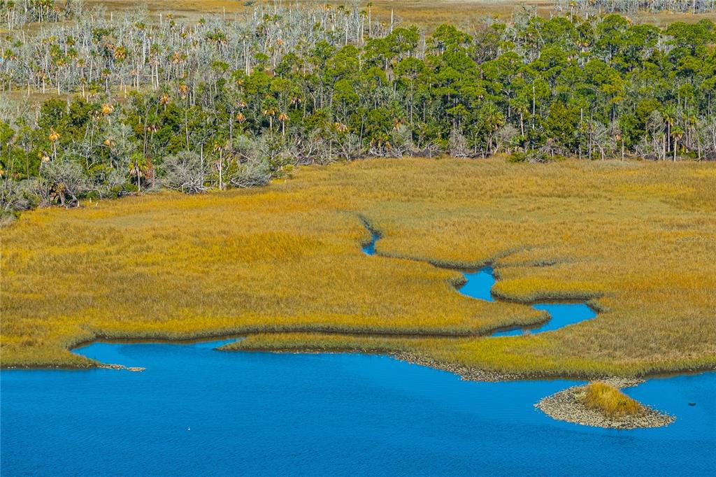 Clark Island Cedar Key, FL 32625 - Photo 33 of 46