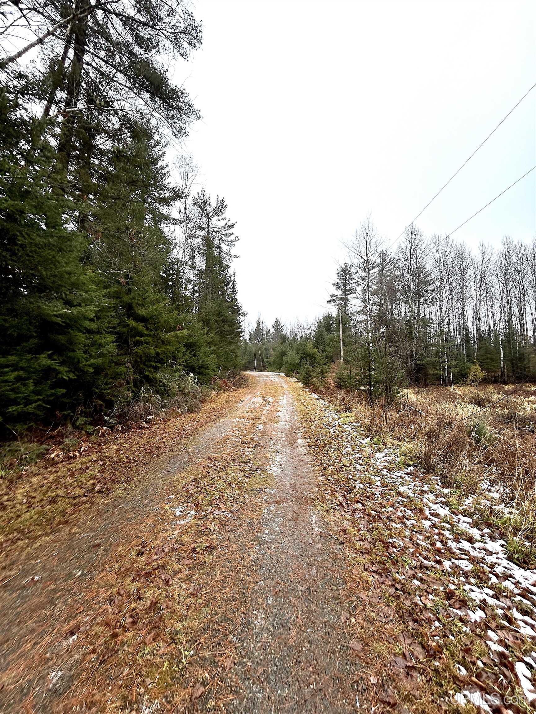 22004 South Olson Lake Road Michigamme, MI 49861 - Photo 11 of 14