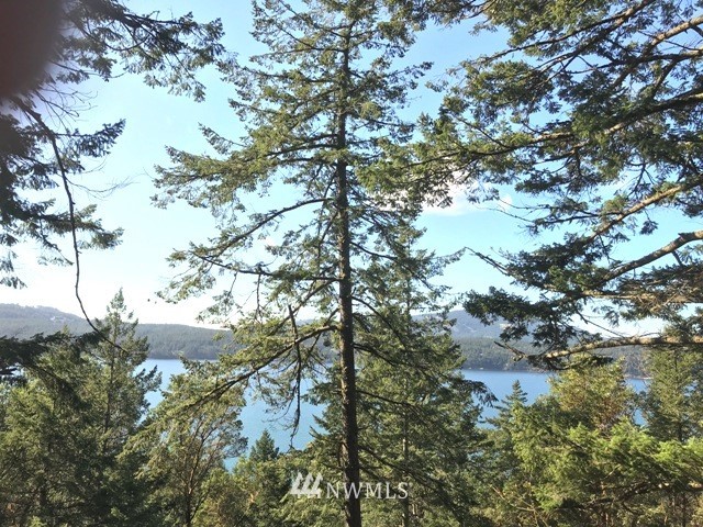 0 Shadow Road Orcas Island, WA 98245 - Photo 11 of 16 Gallery Image 11