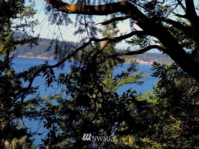 0 Shadow Road Orcas Island, WA 98245 - Photo 13 of 16 Gallery Image 13