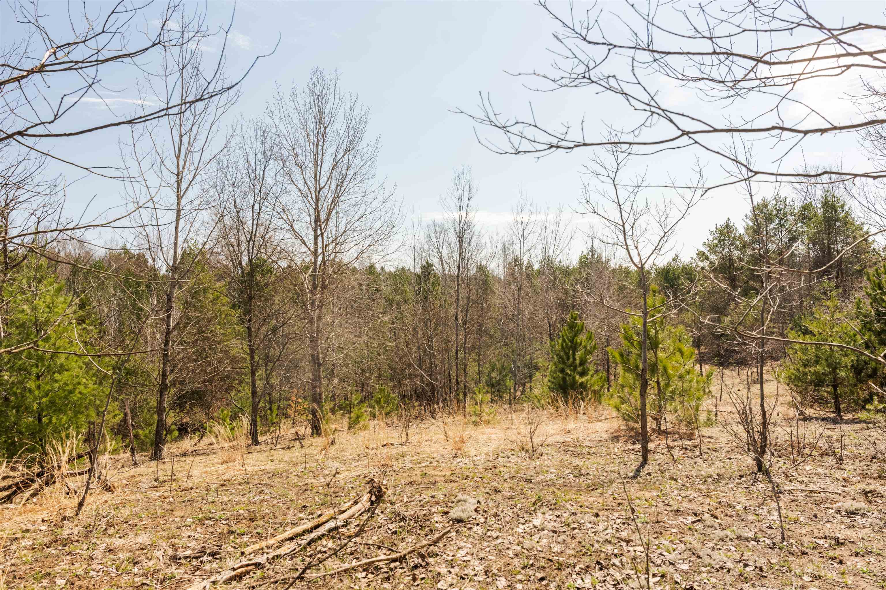 3775 West County Line Road Buckley, MI 49620 - Photo 10 of 28