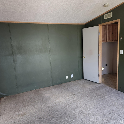 3760 Gold Ridge Drive, Unit 82 Magna, UT 84044 - Photo 19 of 29 Room featuring green paneled walls, light-colored carpet, and a white ceiling