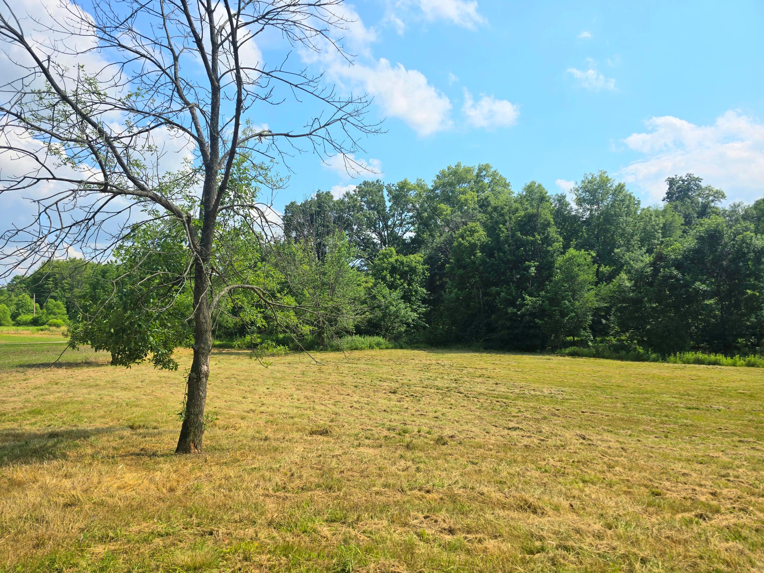 9026 Gregg Road Fredericktown, OH 43019 - Photo 6 of 17 1000062299