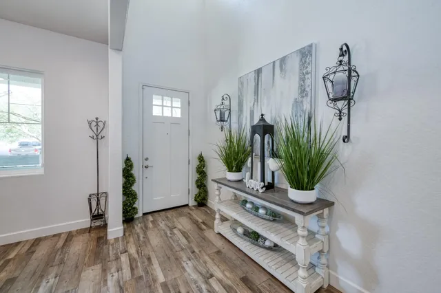 a room with furniture and a potted plant
