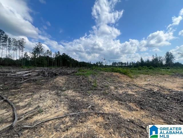 11482 Camp Oliver Road Adger, AL 35006 - Photo 30 of 48