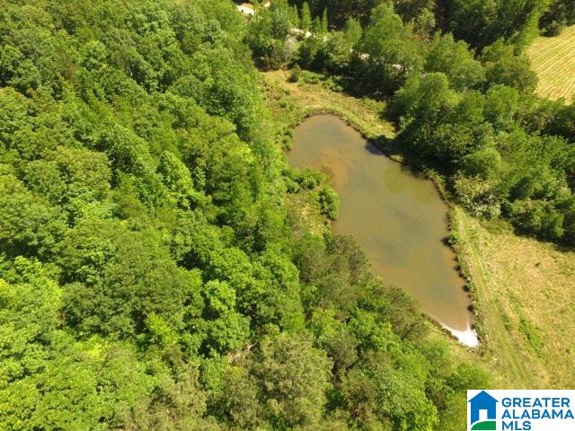 82-acres Creed Road, Unit 82 ACRES Lineville, AL 36266 - Photo 1 of 20