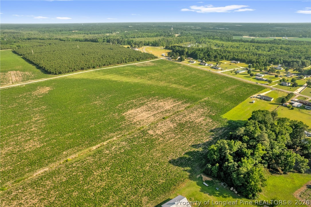 0 Old Wire (lot 11) Road Shannon, NC 28386 - Photo 4 of 17