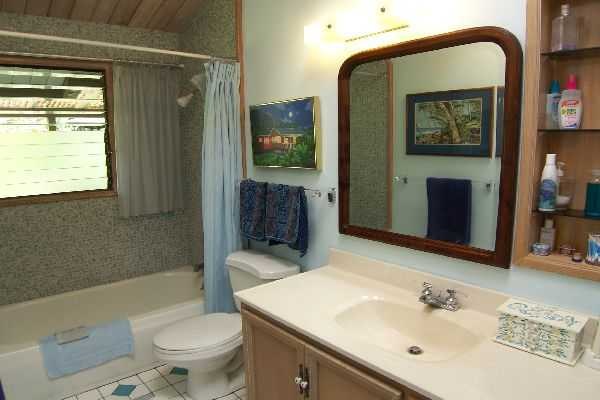 7321 Alamoo Road Hanalei, HI 96714 - Photo 7 of 9