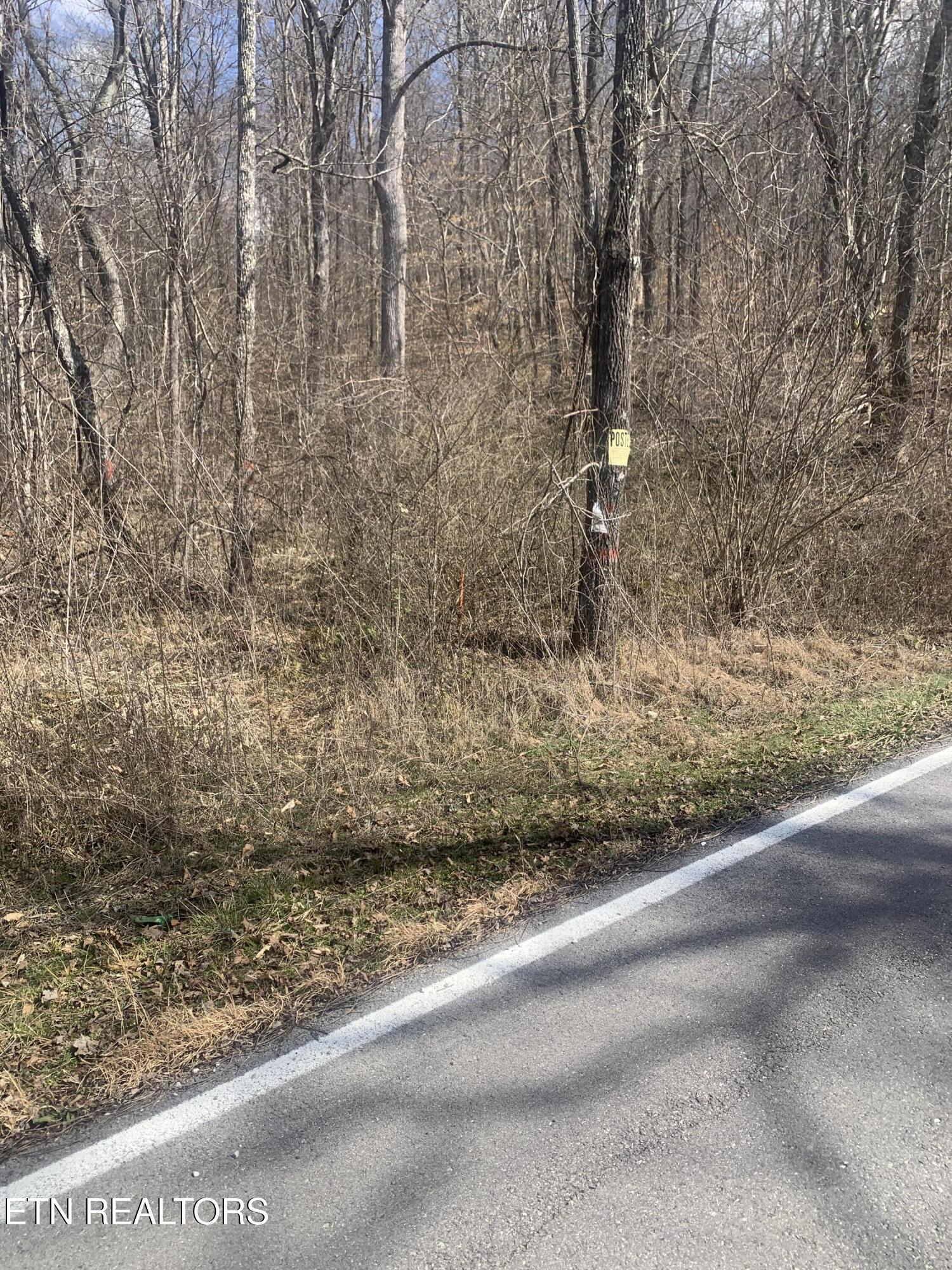 100 C E Todd Road Robbins, TN 37852 - Photo 1 of 16 IMG_1993