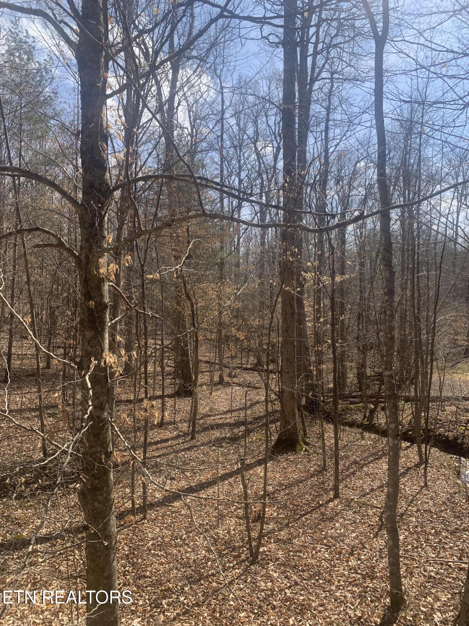 100 C E Todd Road Robbins, TN 37852 - Photo 11 of 16 IMG_2011 - Copy