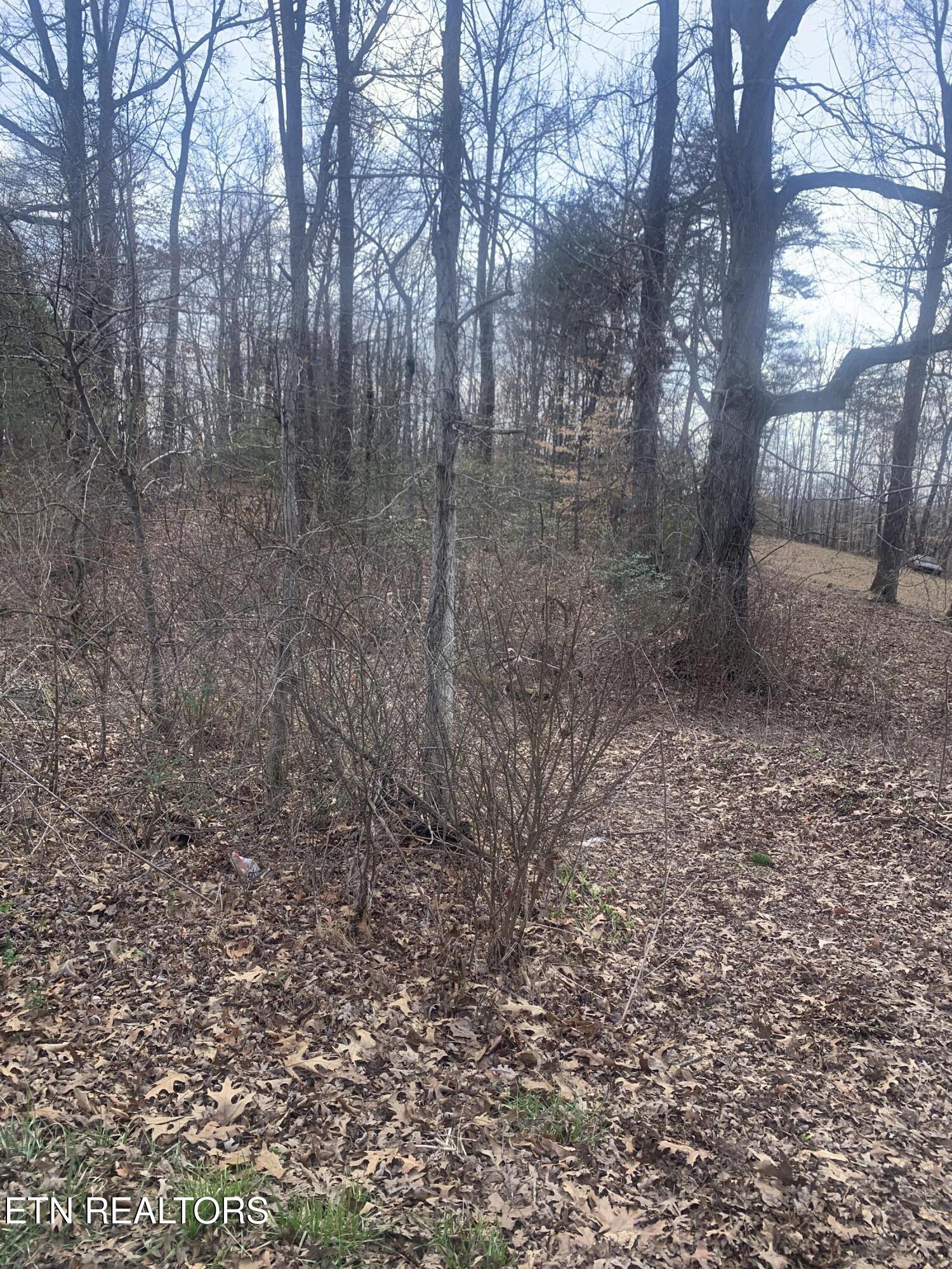 100 C E Todd Road Robbins, TN 37852 - Photo 13 of 16 IMG_2014