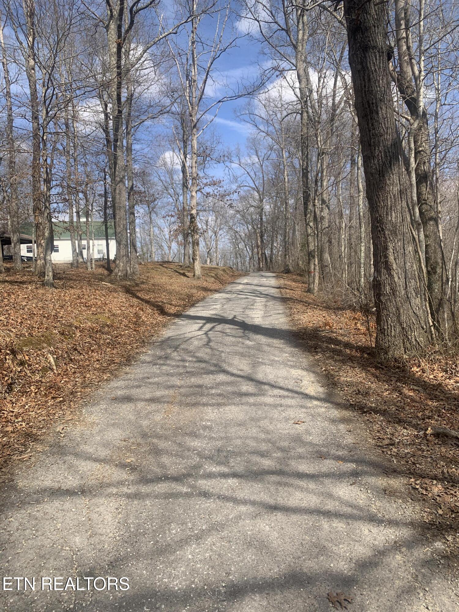 100 C E Todd Road Robbins, TN 37852 - Photo 14 of 16 IMG_2018