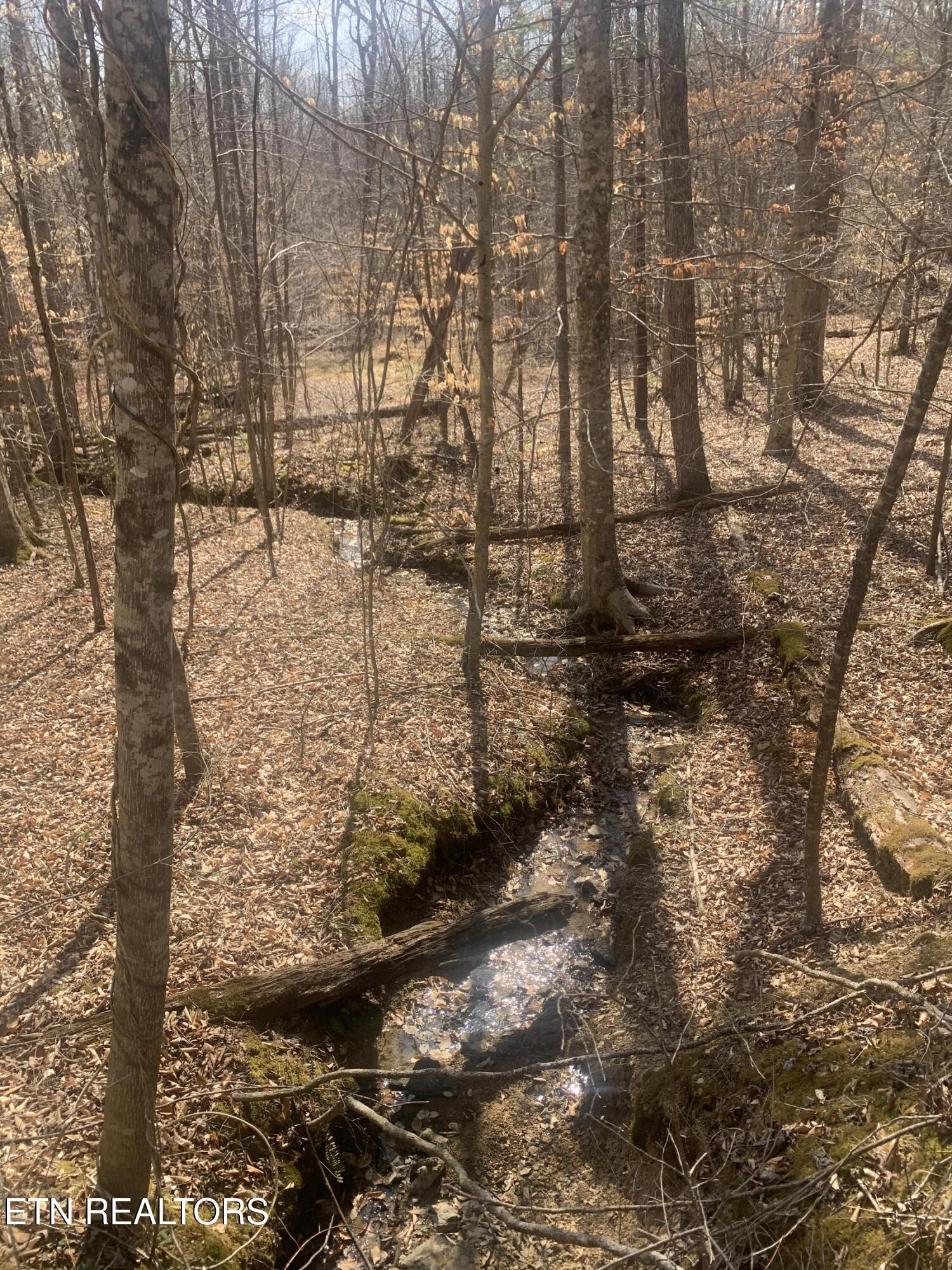 100 C E Todd Road Robbins, TN 37852 - Photo 16 of 16 IMG_2009 - Copy