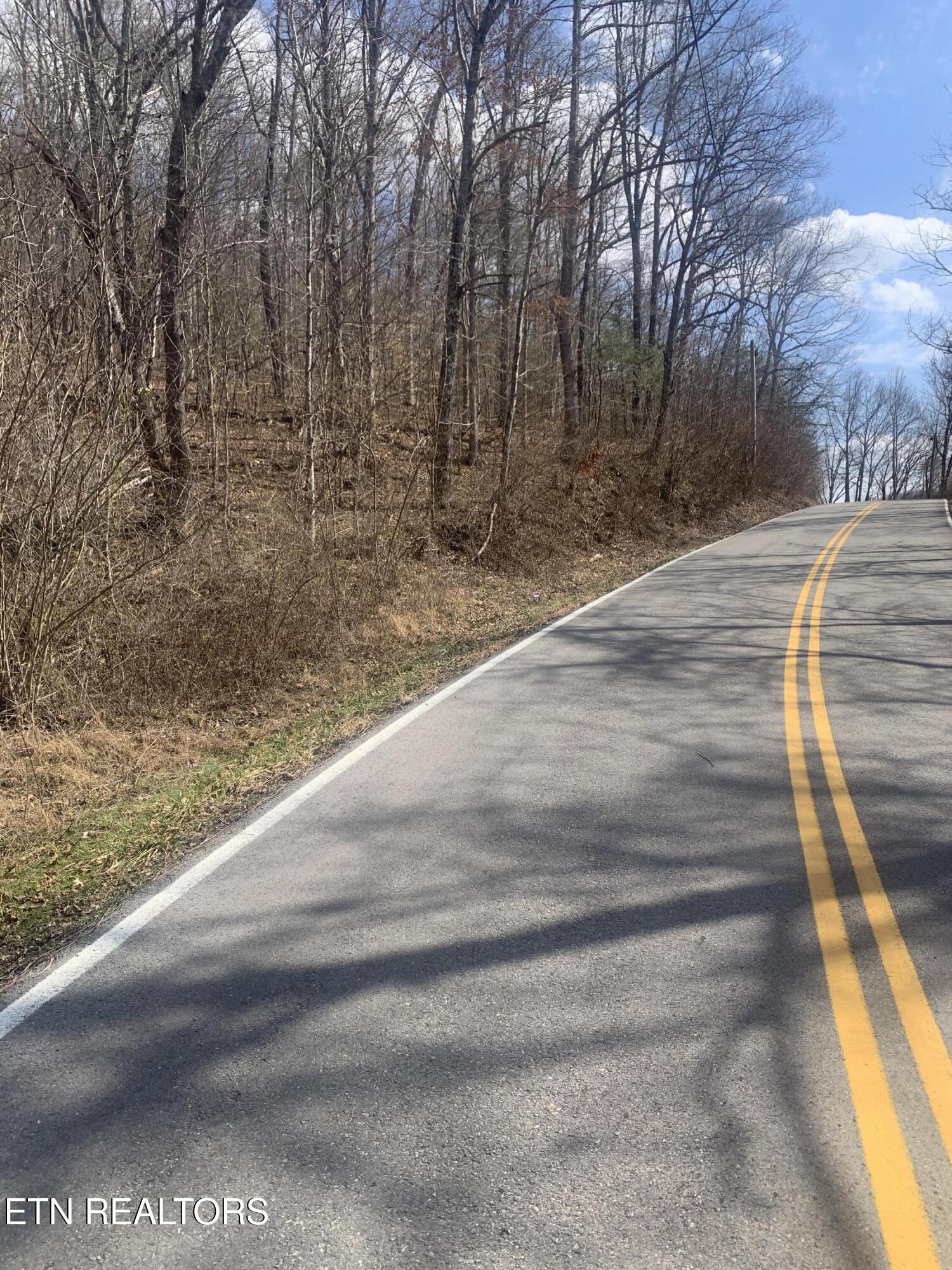 100 C E Todd Road Robbins, TN 37852 - Photo 2 of 16 IMG_1994 - Copy