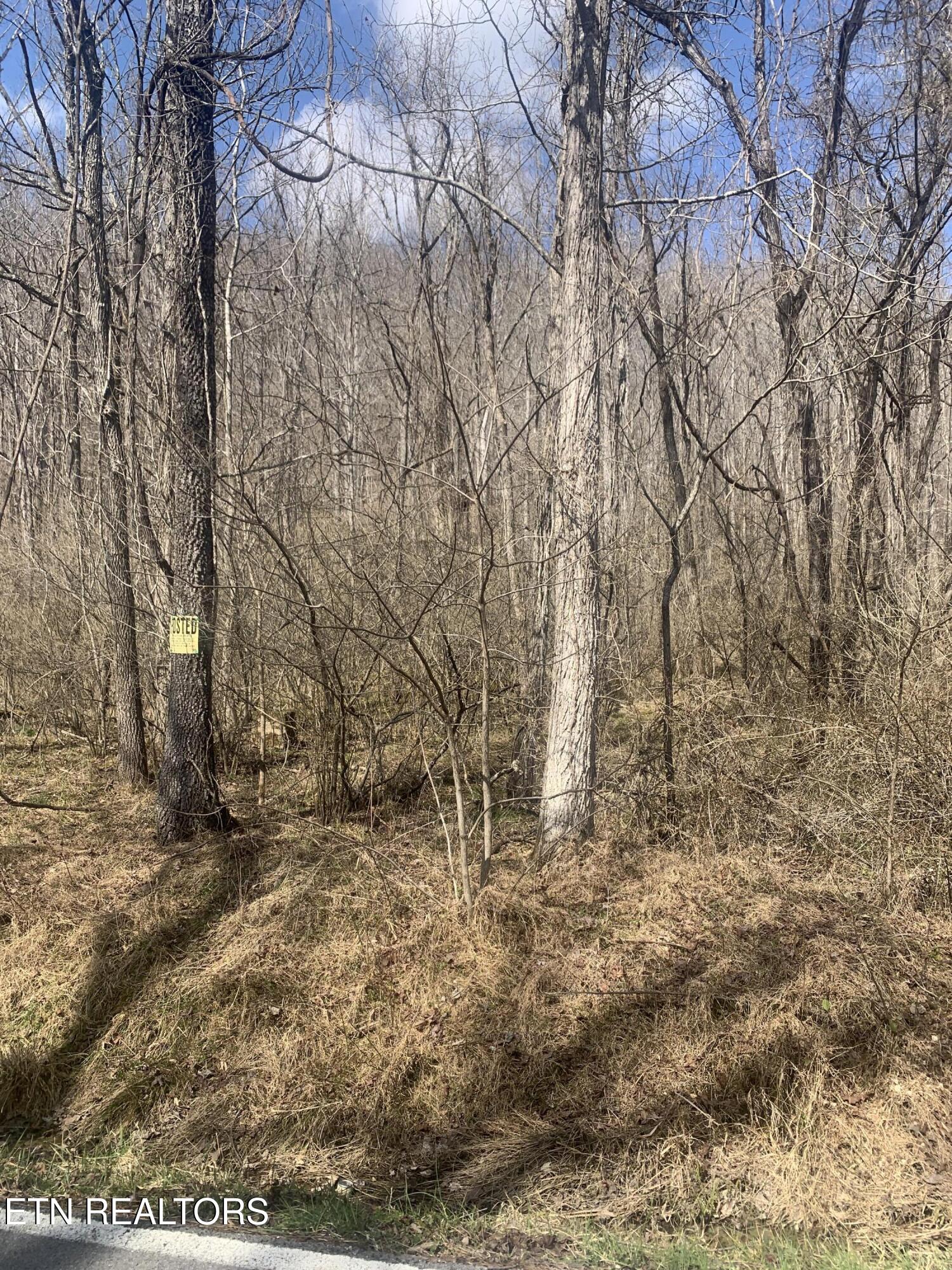 100 C E Todd Road Robbins, TN 37852 - Photo 3 of 16 IMG_1995 - Copy