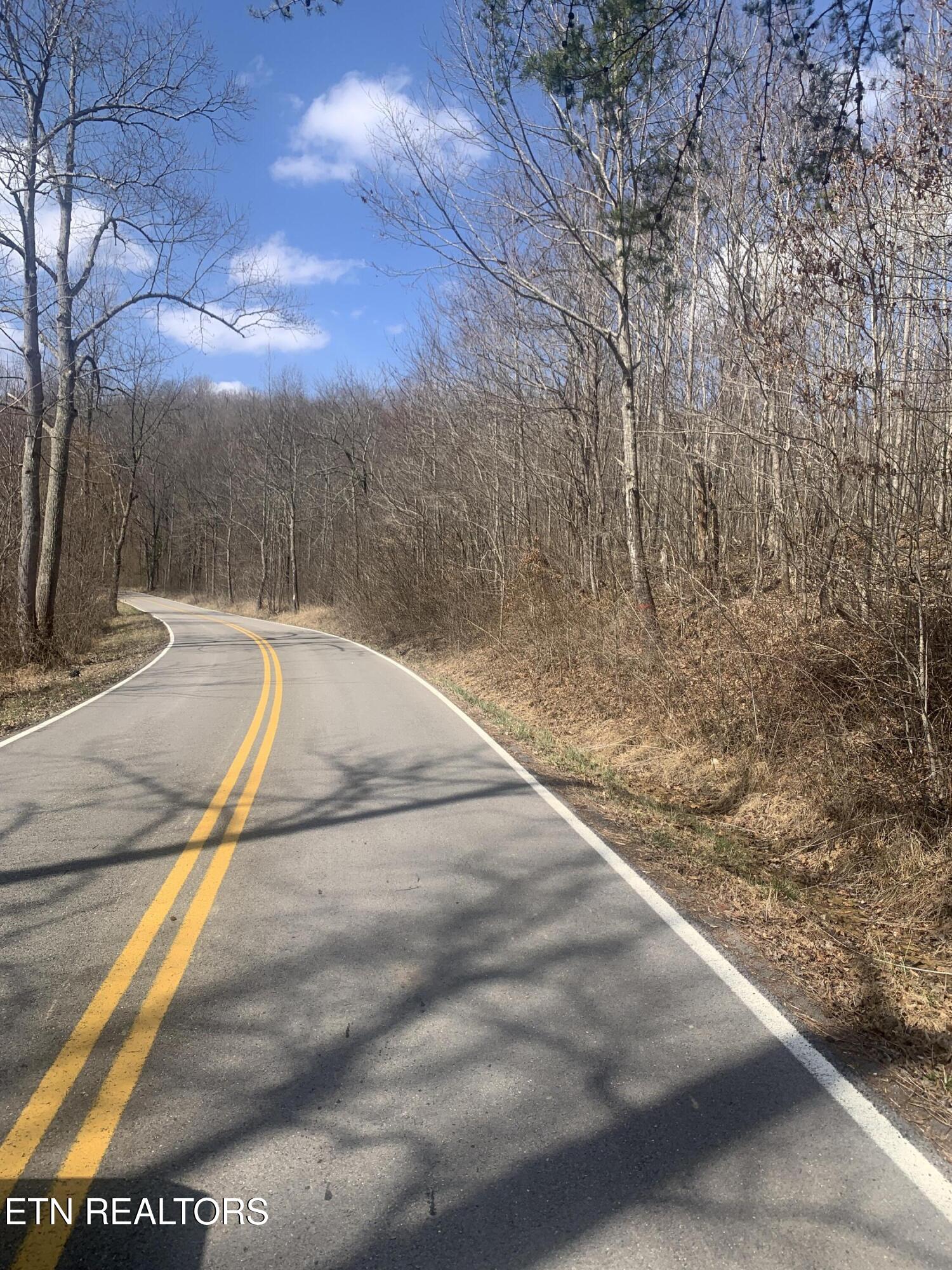 100 C E Todd Road Robbins, TN 37852 - Photo 5 of 16 IMG_1999 - Copy