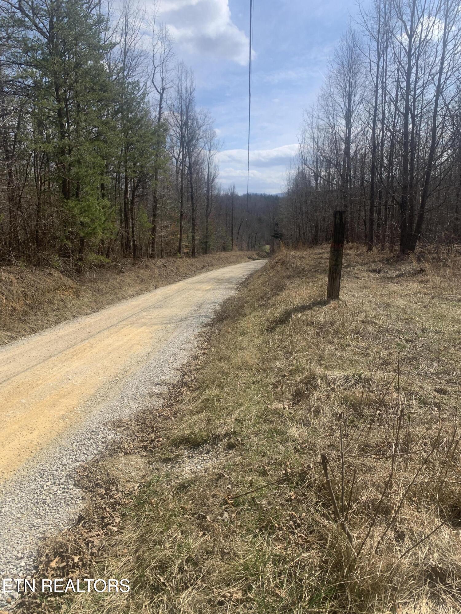 100 C E Todd Road Robbins, TN 37852 - Photo 7 of 16 IMG_2004 - Copy