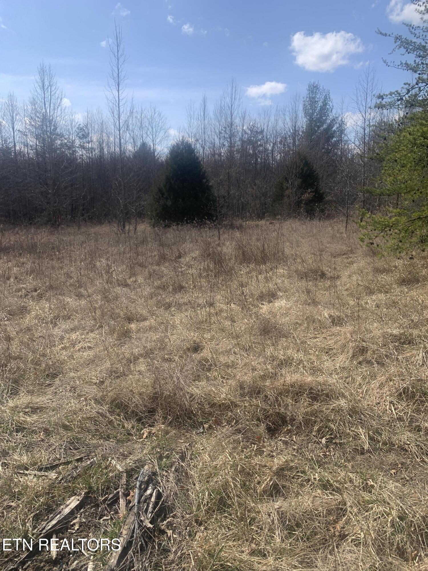 100 C E Todd Road Robbins, TN 37852 - Photo 8 of 16 IMG_2005 - Copy