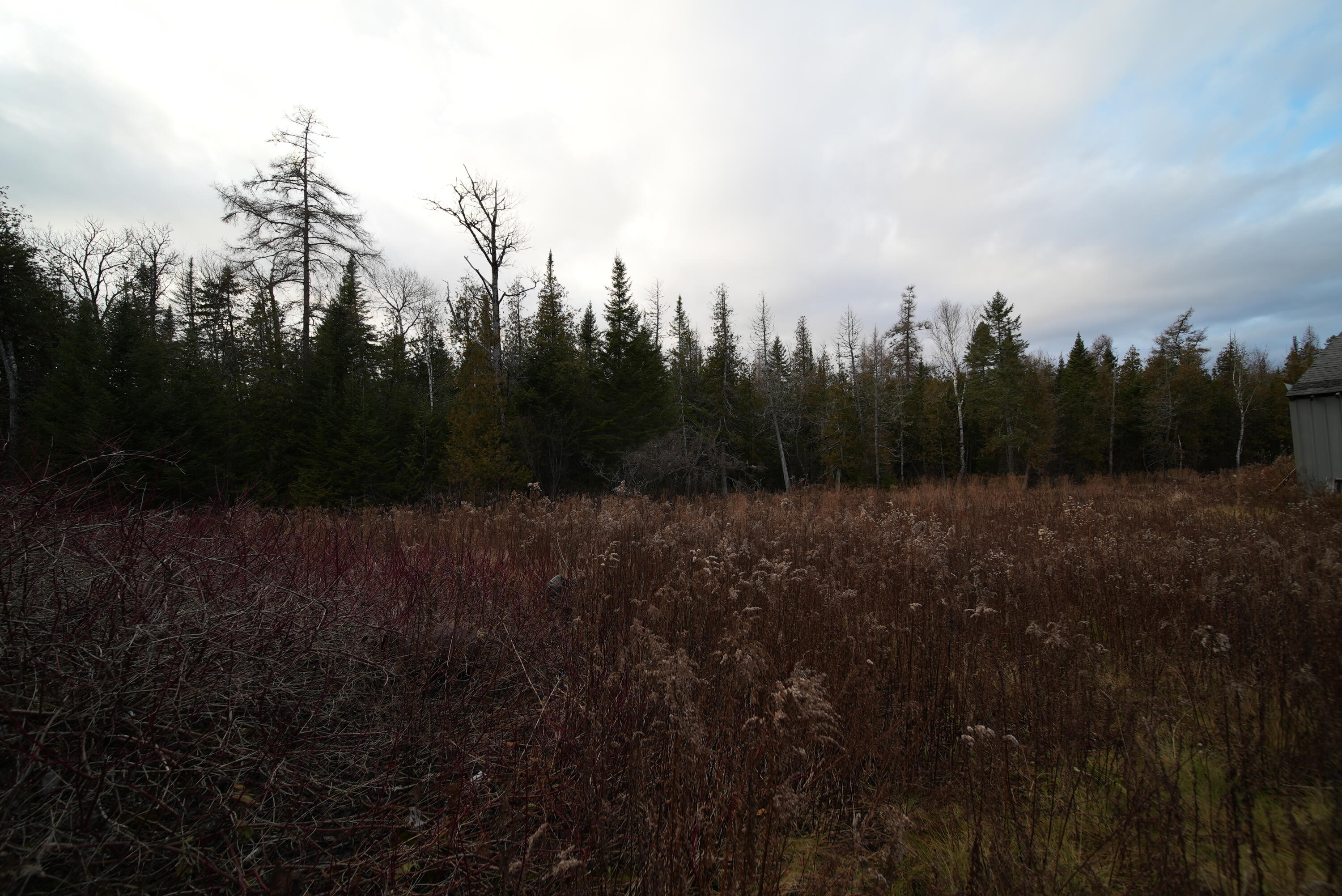 228 U.S. Rte 1 Bridgewater, ME 04735 - Photo 29 of 32 DSC00151