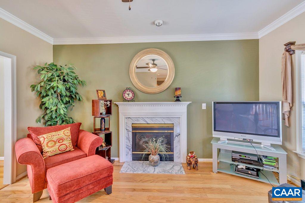 1641 Old Brook Road Charlottesville, VA 22901 - Photo 5 of 22 a living room with furniture a fireplace and a potted plant