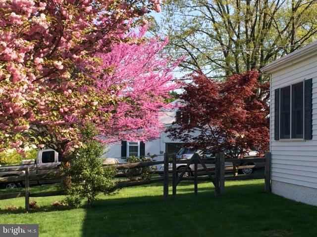 131 Redford Road Oreland, PA 19075 - Photo 58 of 85 Trees in Bloom