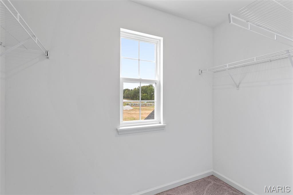 2 Ashford At Whispering Pines High Ridge, MO 63049 - Photo 8 of 34