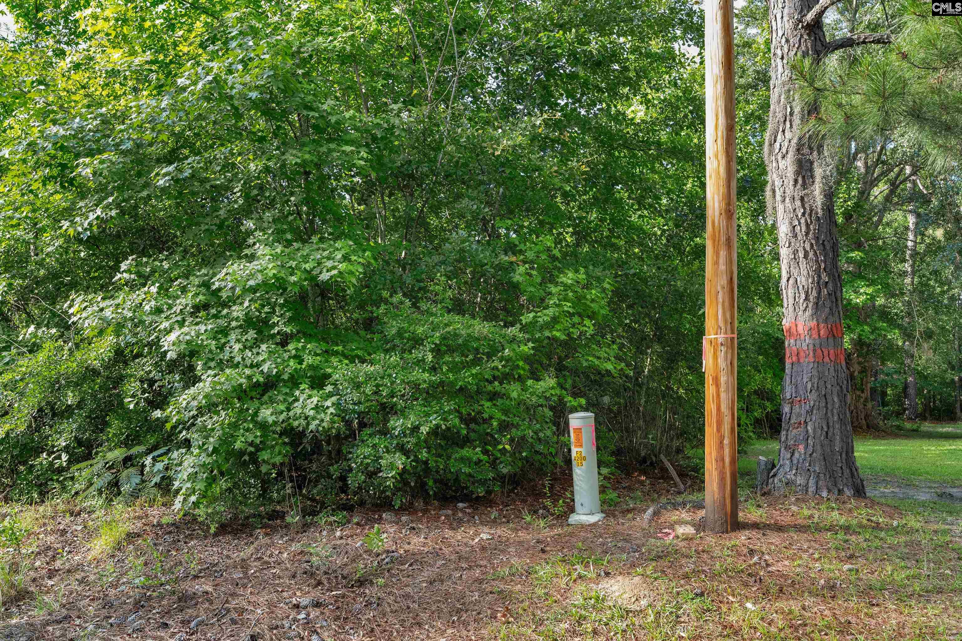 0 North Brewington Road, Unit 10 Manning, SC 29102 - Photo 23 of 29