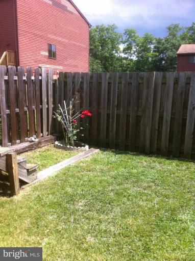 Back yard