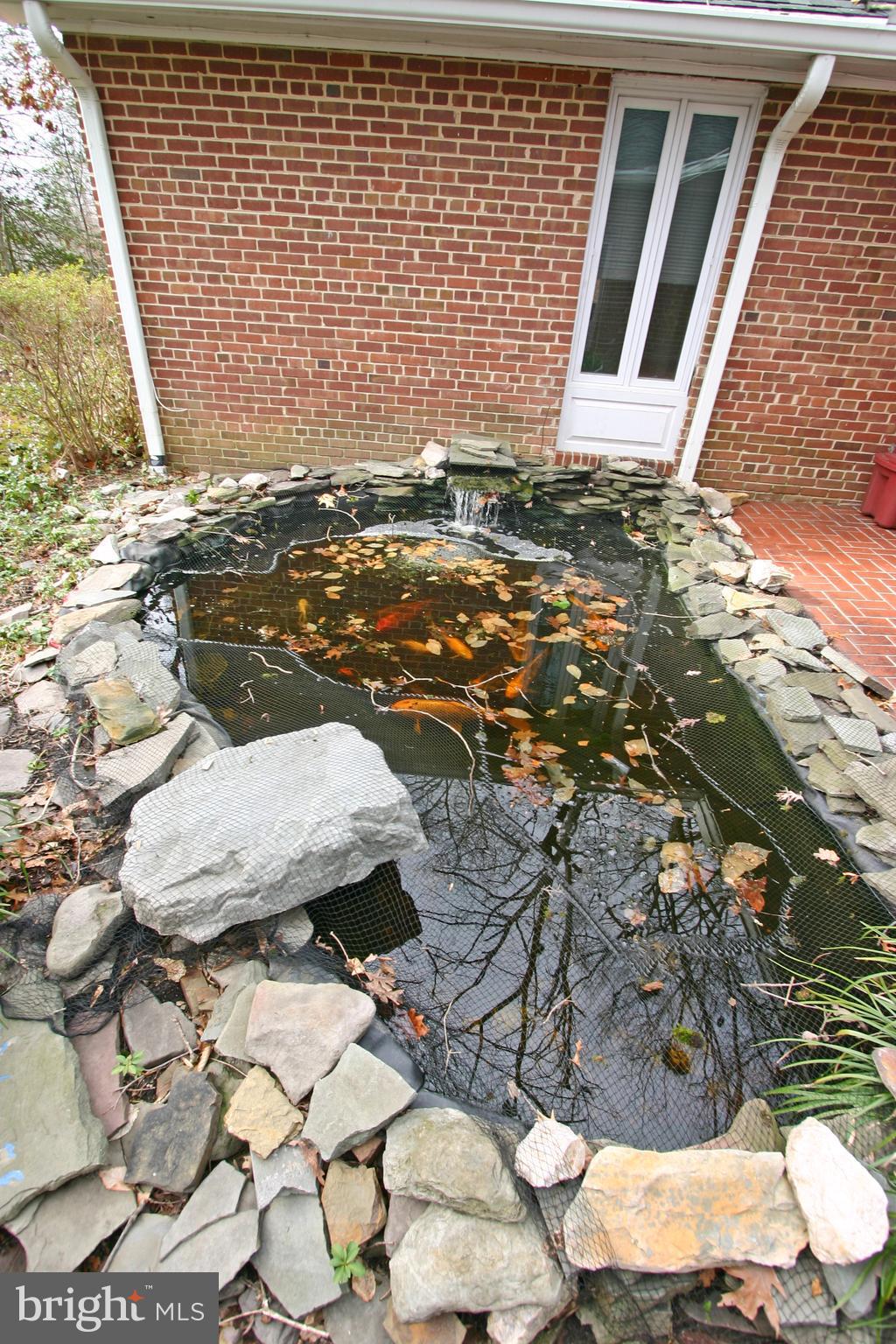 6613 Ridgeway Drive Springfield, VA 22150 - Photo 44 of 56 Koi Pond