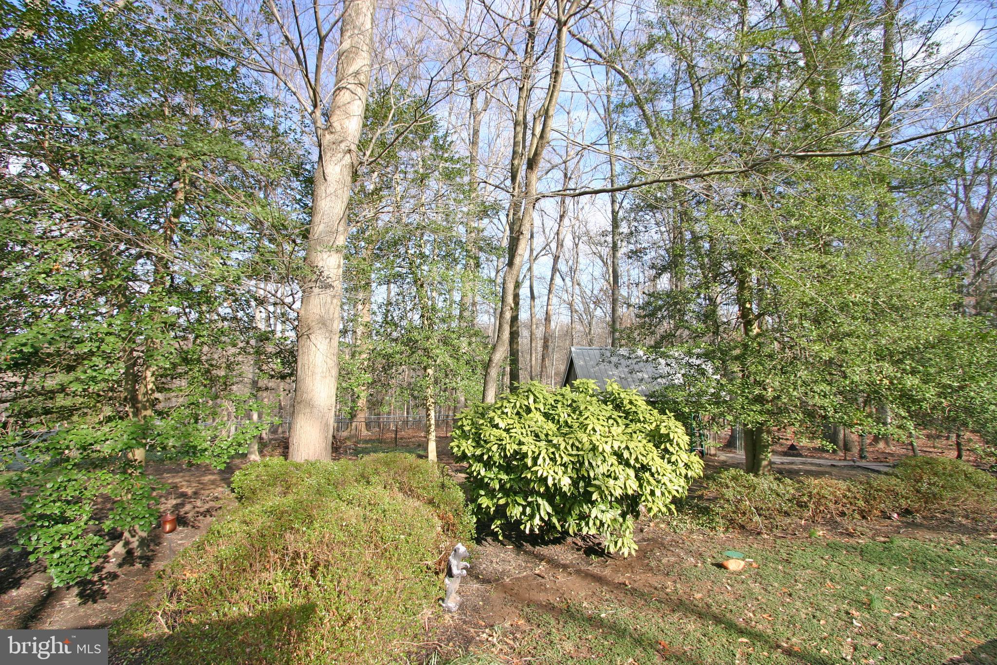 6613 Ridgeway Drive Springfield, VA 22150 - Photo 46 of 56 Back Yard