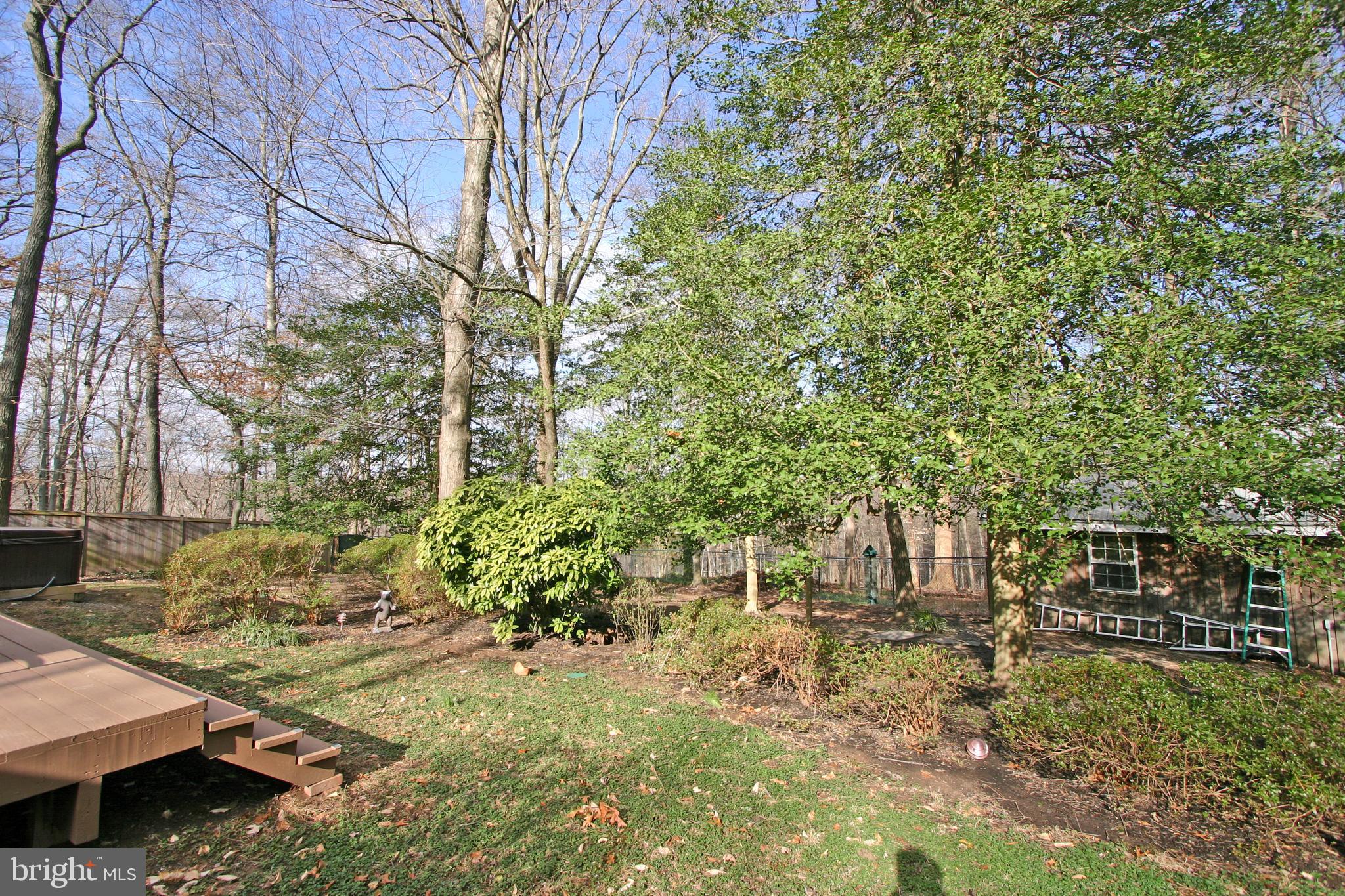 6613 Ridgeway Drive Springfield, VA 22150 - Photo 47 of 56 Back Yard