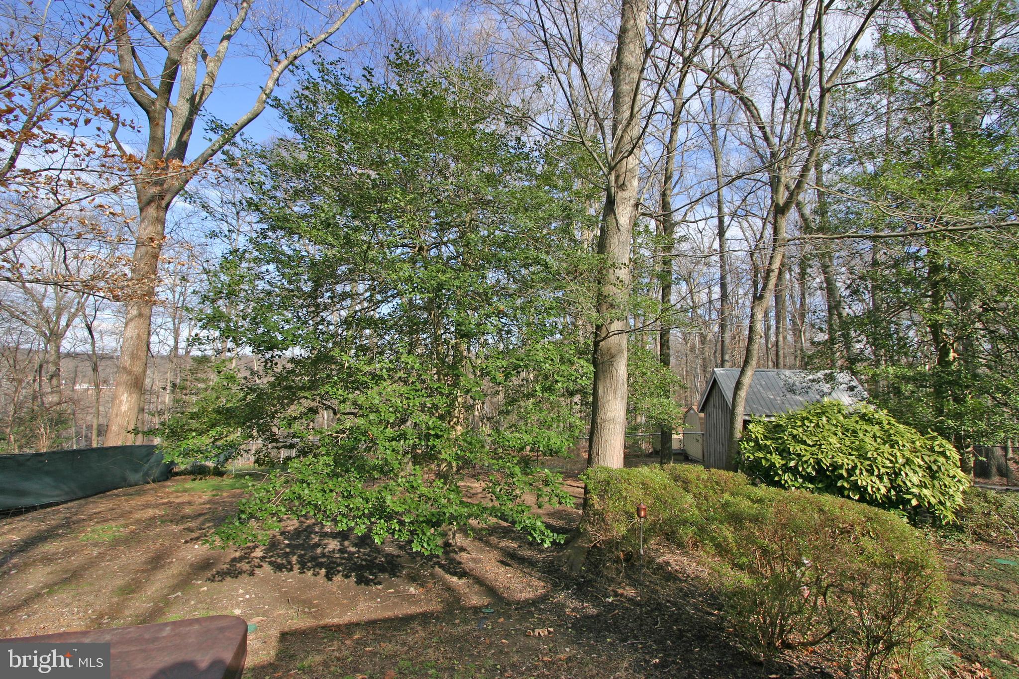 6613 Ridgeway Drive Springfield, VA 22150 - Photo 48 of 56 Back Yard