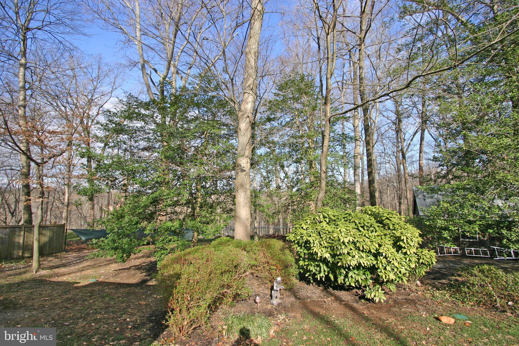 6613 Ridgeway Drive Springfield, VA 22150 - Photo 49 of 56 Back Yard