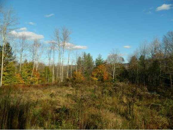 Lot #2 Stony Farm Road Moretown, VT 05660 - Photo 1 of 1