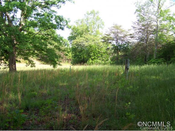 136 Green Waters Road Rutherfordton, NC 28139 - Photo 3 of 6
