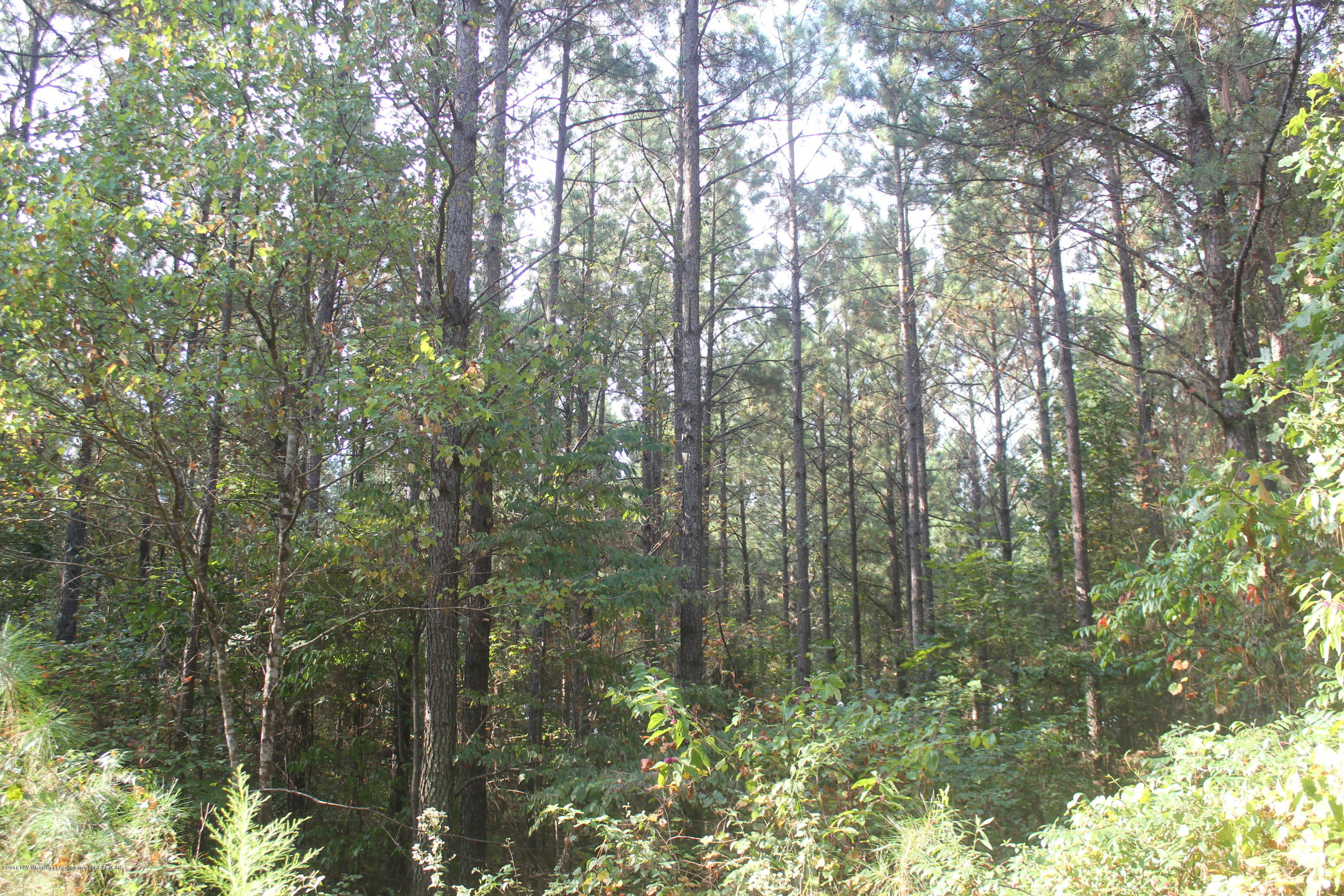 90 Powell Nettleton, MS 38858 - Photo 11 of 16 014