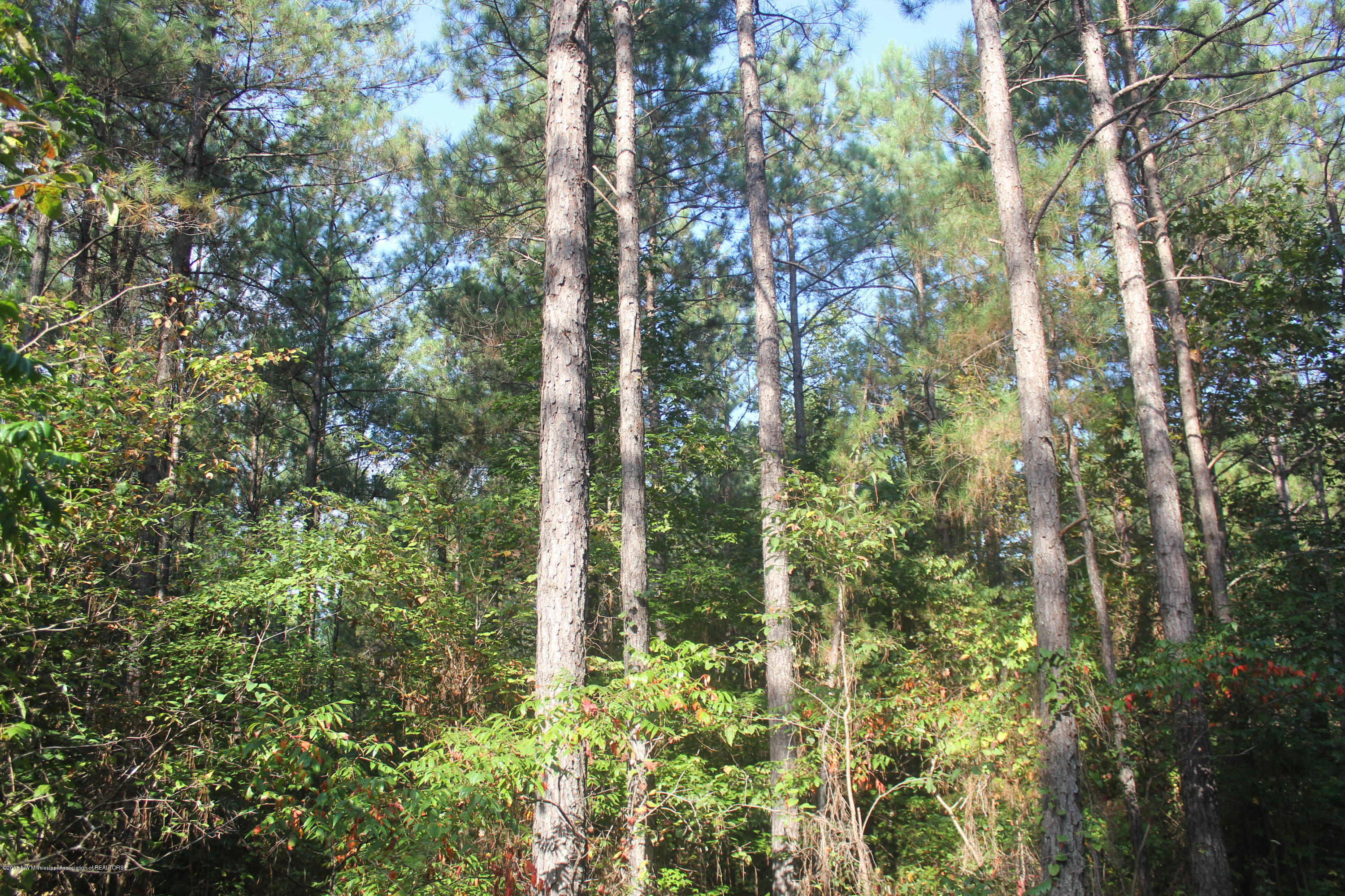 90 Powell Nettleton, MS 38858 - Photo 13 of 16 016