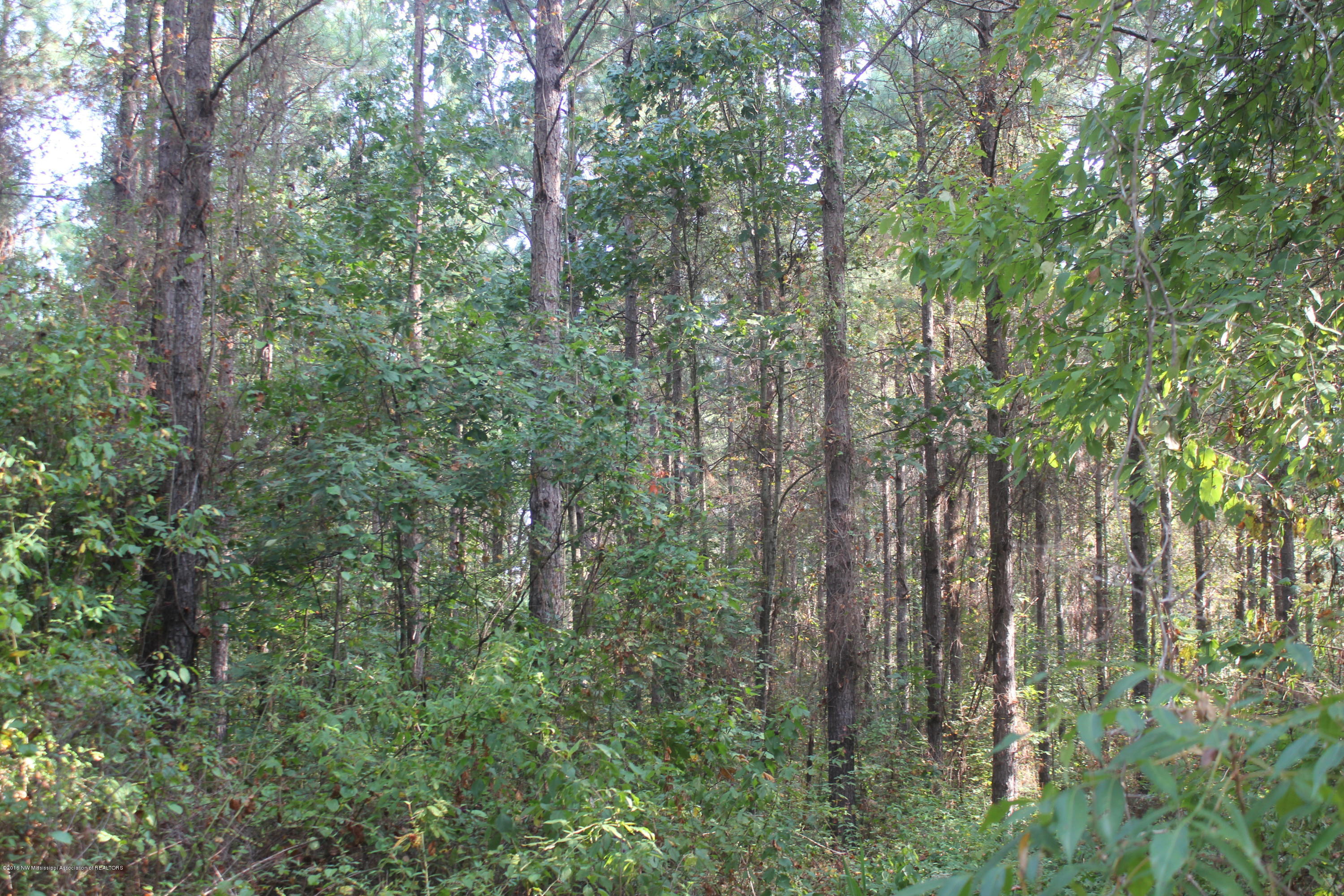 90 Powell Nettleton, MS 38858 - Photo 16 of 16 019