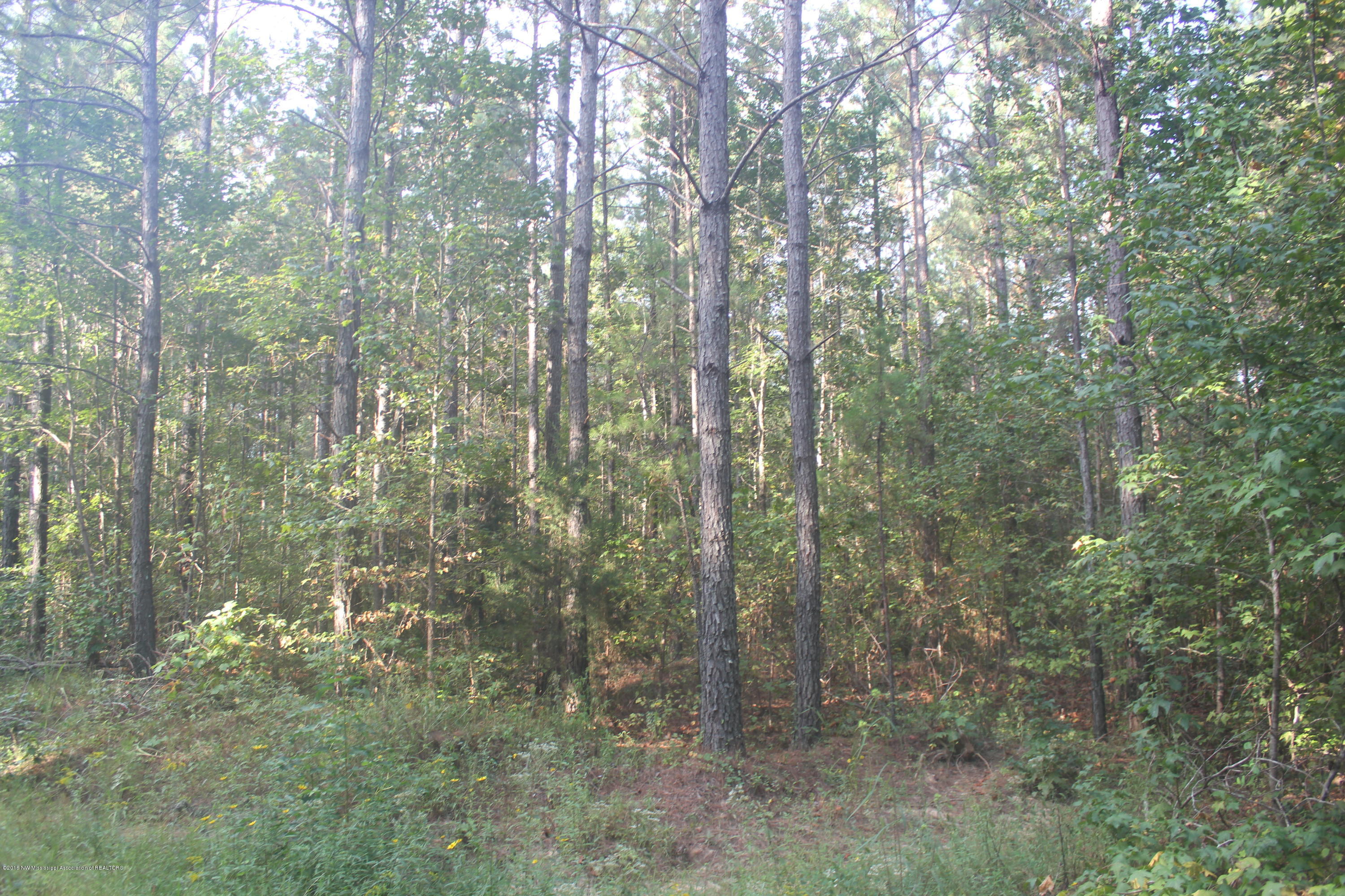 90 Powell Nettleton, MS 38858 - Photo 3 of 16 006