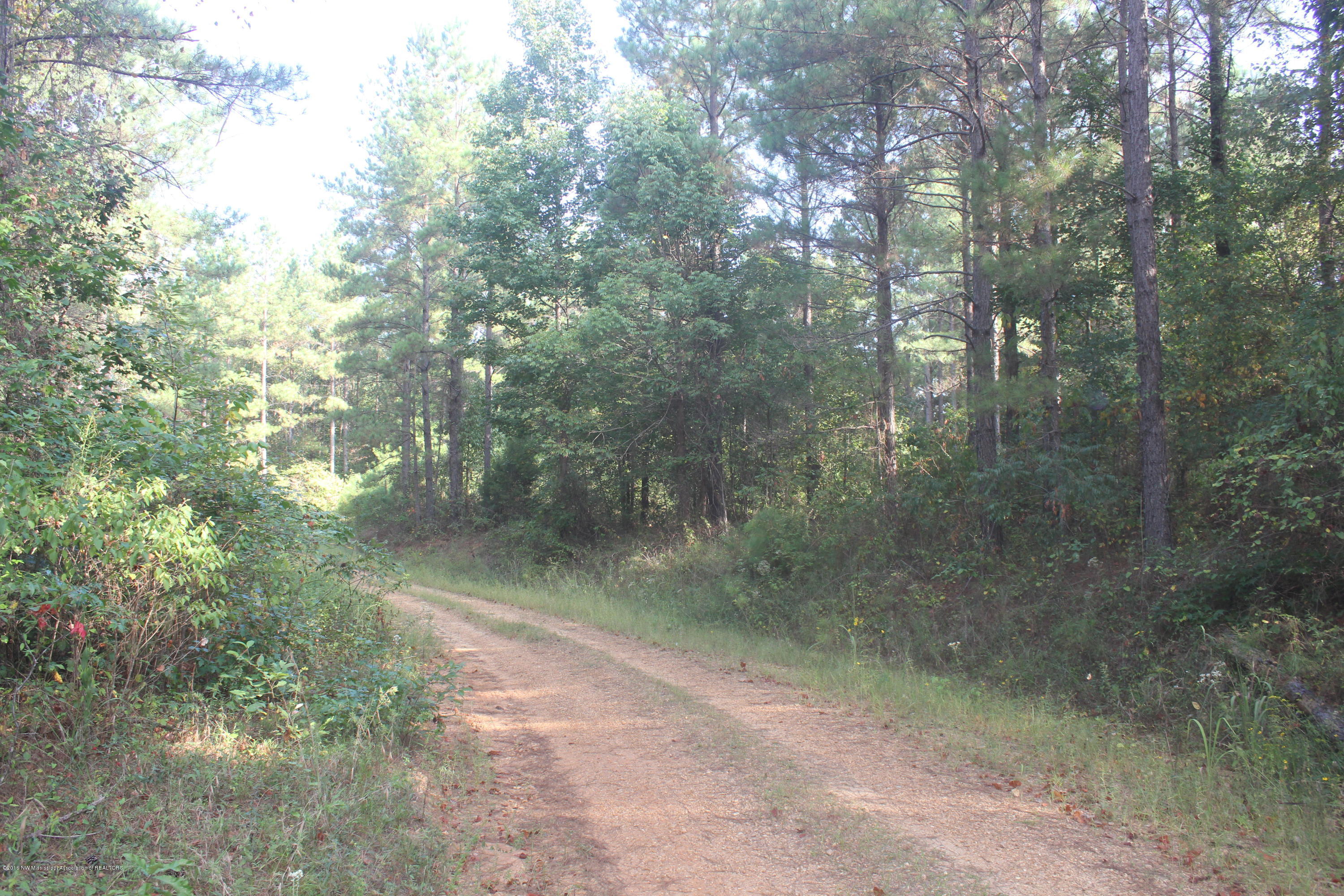 90 Powell Nettleton, MS 38858 - Photo 6 of 16 009