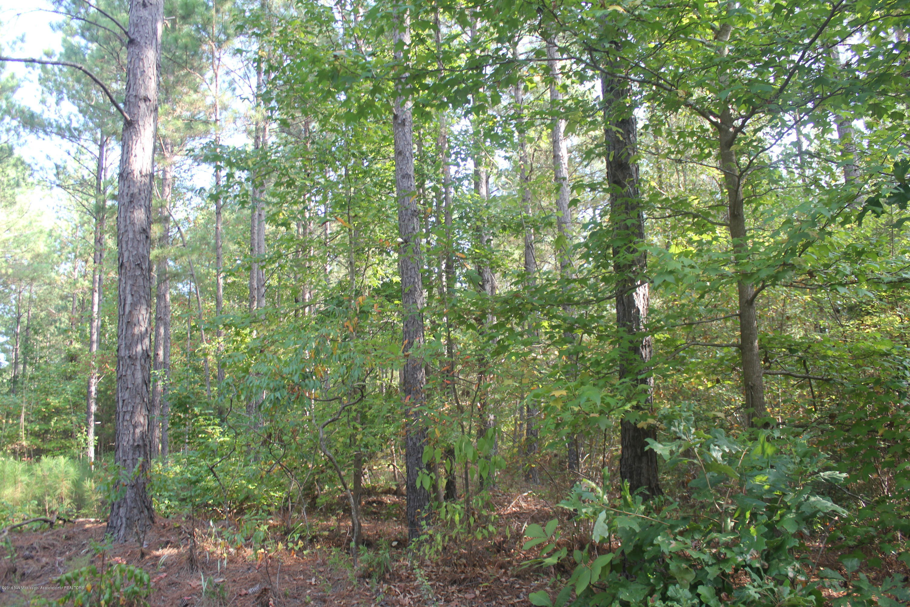 90 Powell Nettleton, MS 38858 - Photo 9 of 16 012