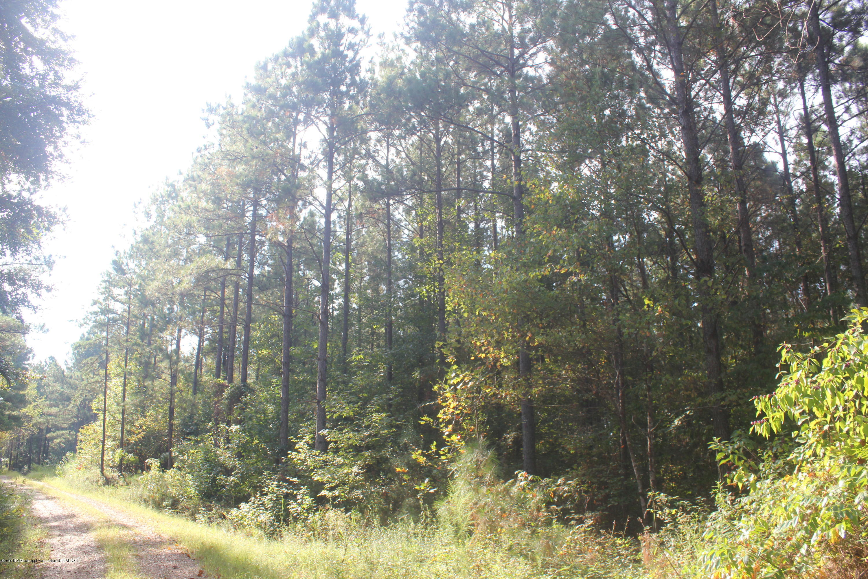 90 Powell Nettleton, MS 38858 - Photo 10 of 16 013