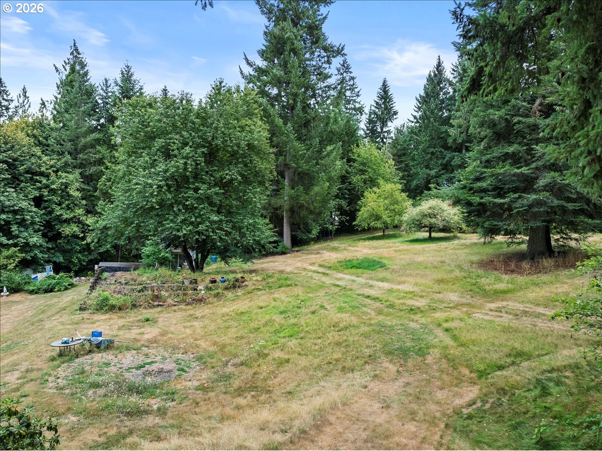 15611 Northeast Doneta Road Brush Prairie, WA 98606 - Photo 10 of 12