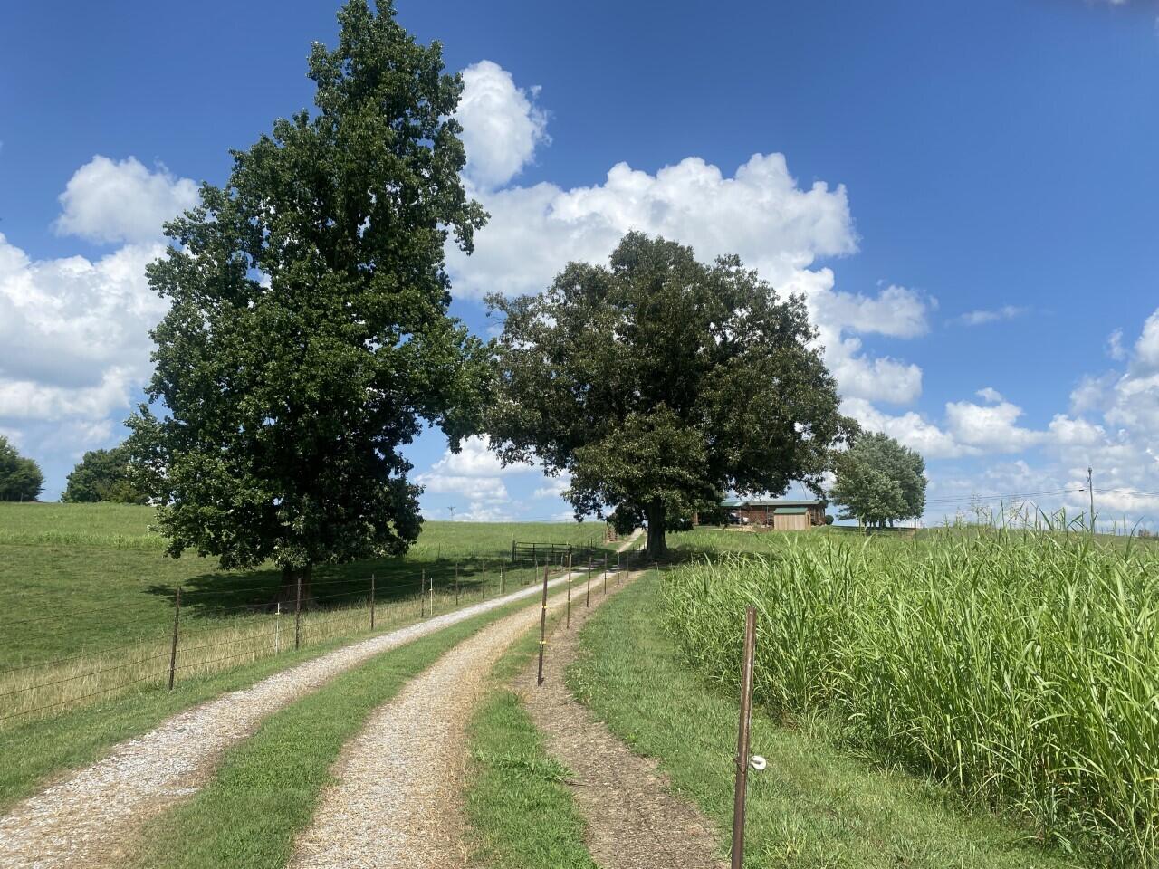640 Pates Hill Road, Unit 23 Mosheim, TN 37818 - Photo 12 of 47 12