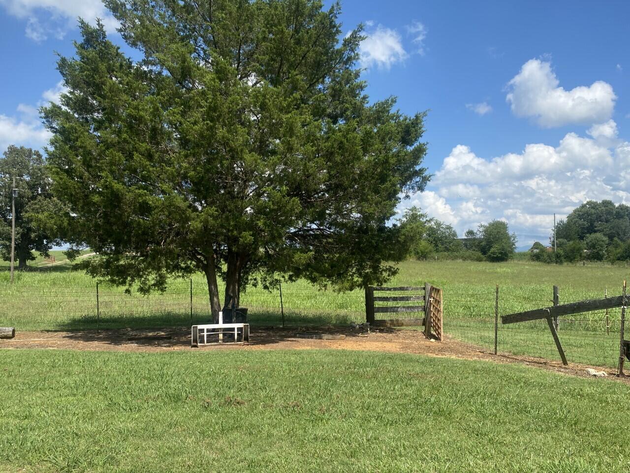 640 Pates Hill Road, Unit 23 Mosheim, TN 37818 - Photo 10 of 47 10