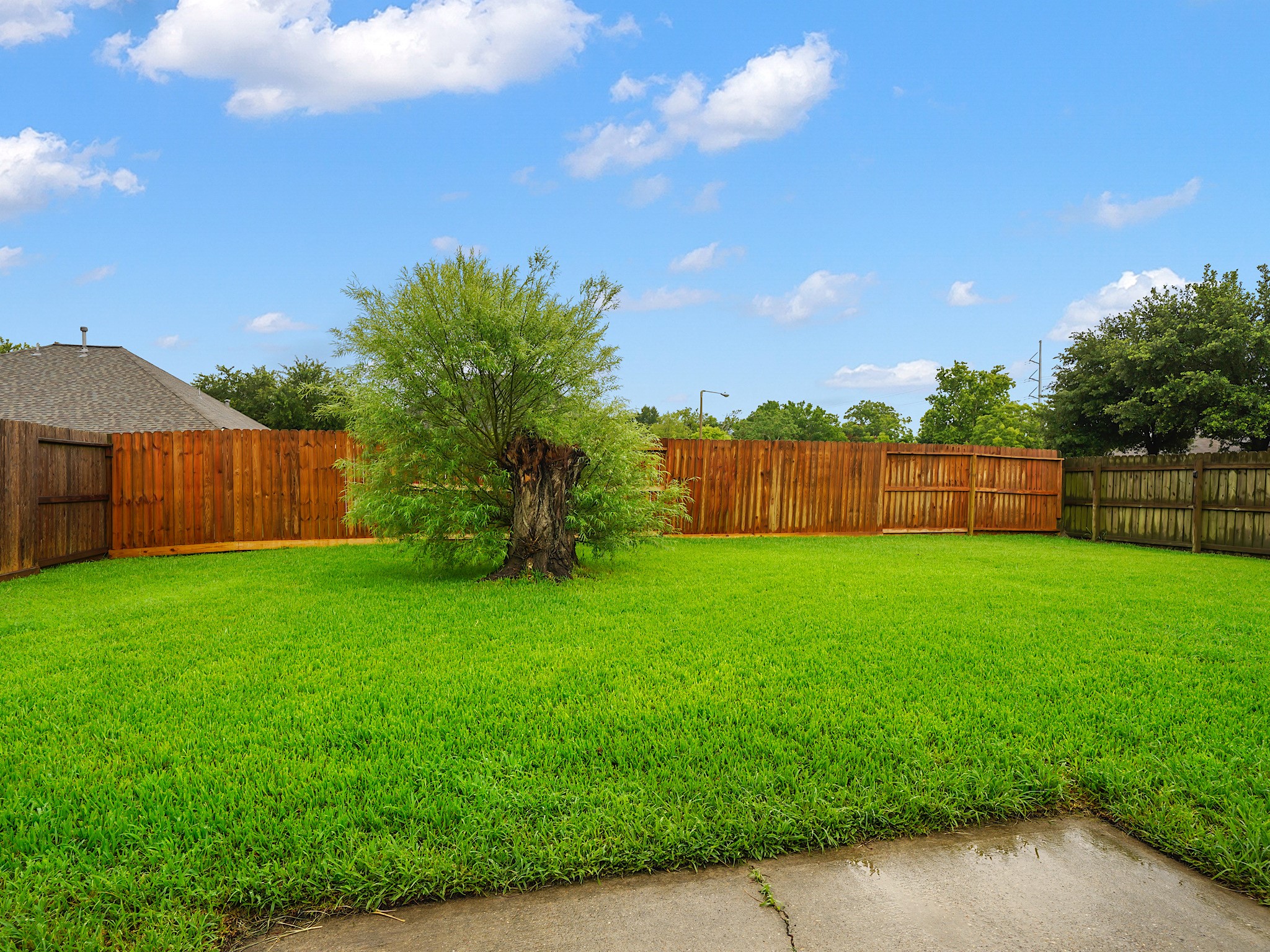 4006 Raspberry Court Dickinson, TX 77539 - Photo 21 of 22 a view of a backyard