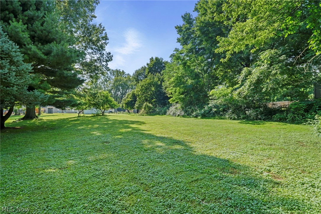 1218 Briggle Road Akron, OH 44320 - Photo 30 of 40 Expansive green lawn with mature trees providing natural shading