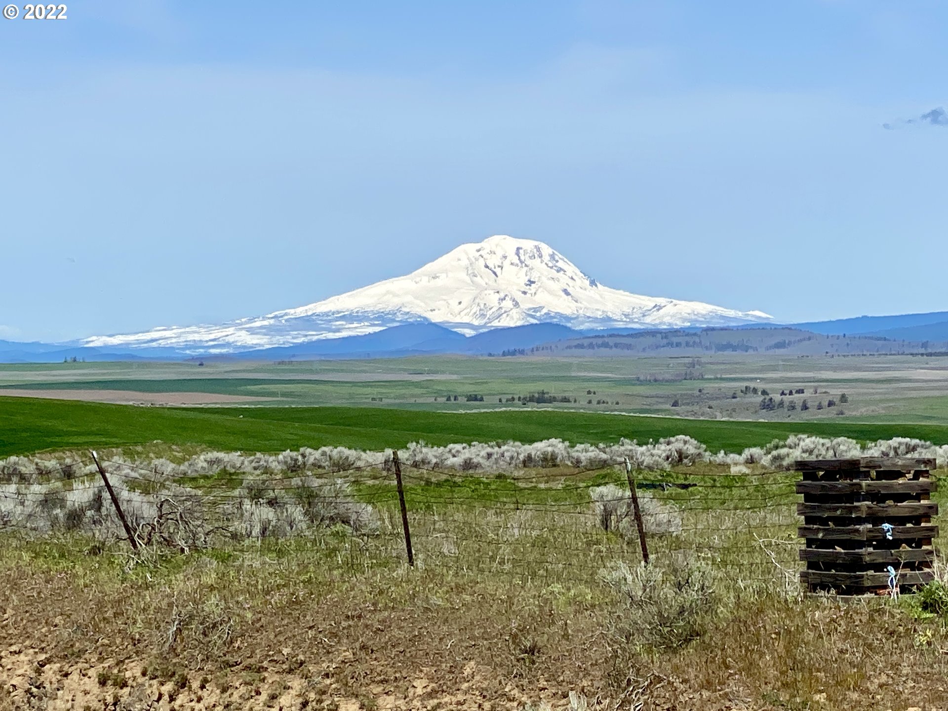 923 Hoctor Road Goldendale, WA 98620 - Photo 1 of 11 Gallery Image 1